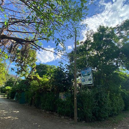 Cabinas Surf Arribadas Ostional Wildlife Refuge Εξωτερικό φωτογραφία