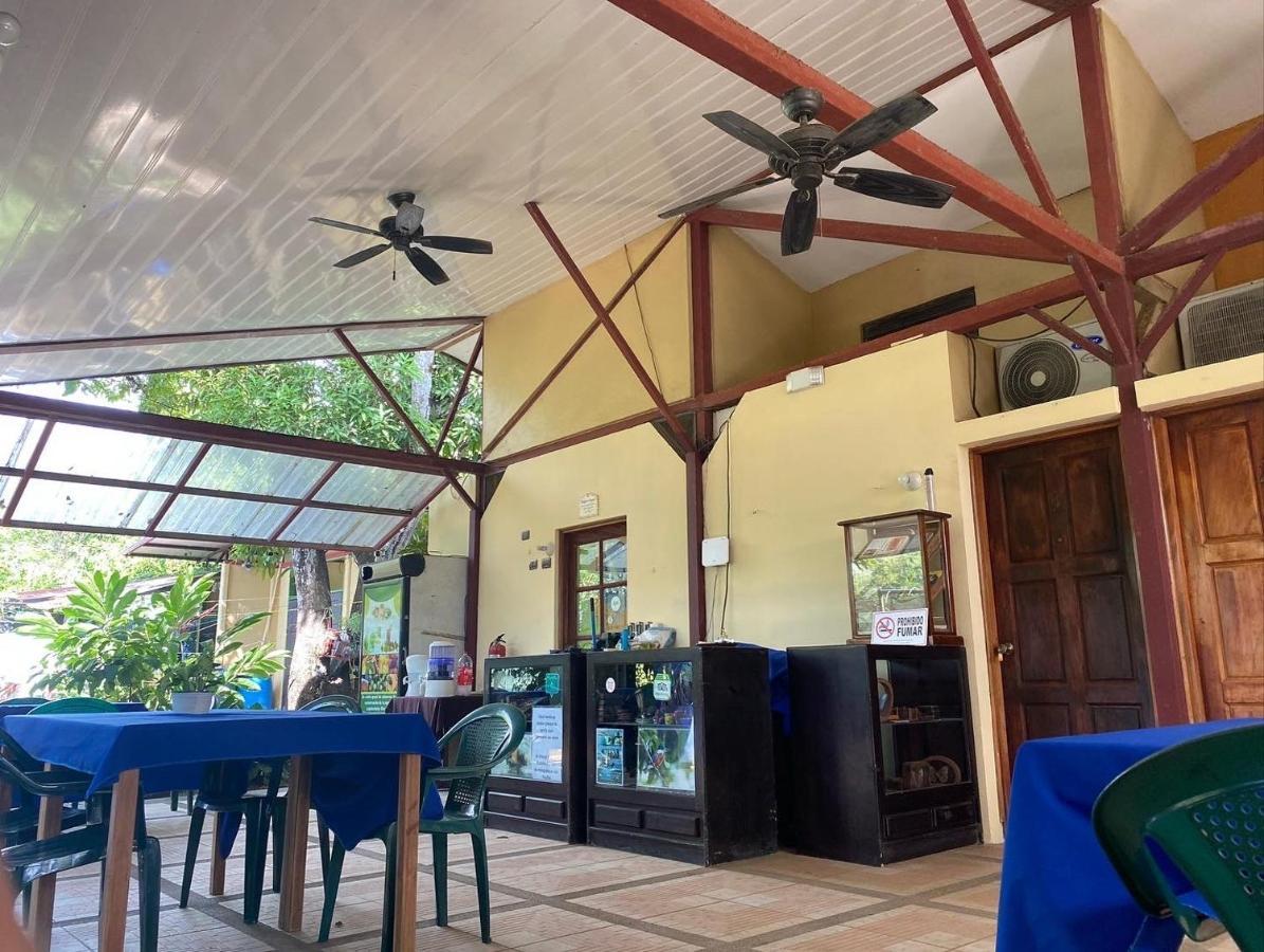 Cabinas Surf Arribadas Ostional Wildlife Refuge Εξωτερικό φωτογραφία