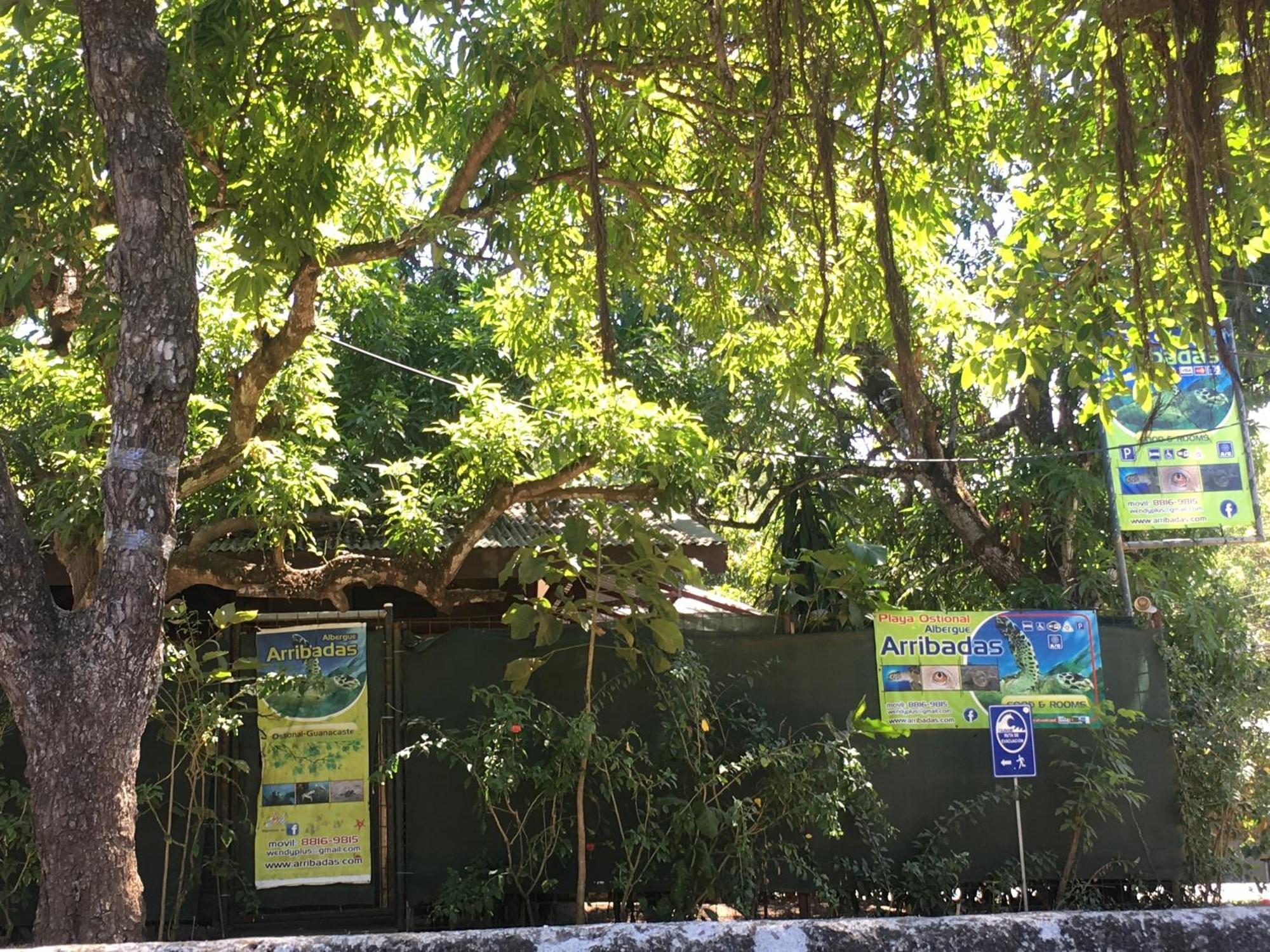 Cabinas Surf Arribadas Ostional Wildlife Refuge Εξωτερικό φωτογραφία