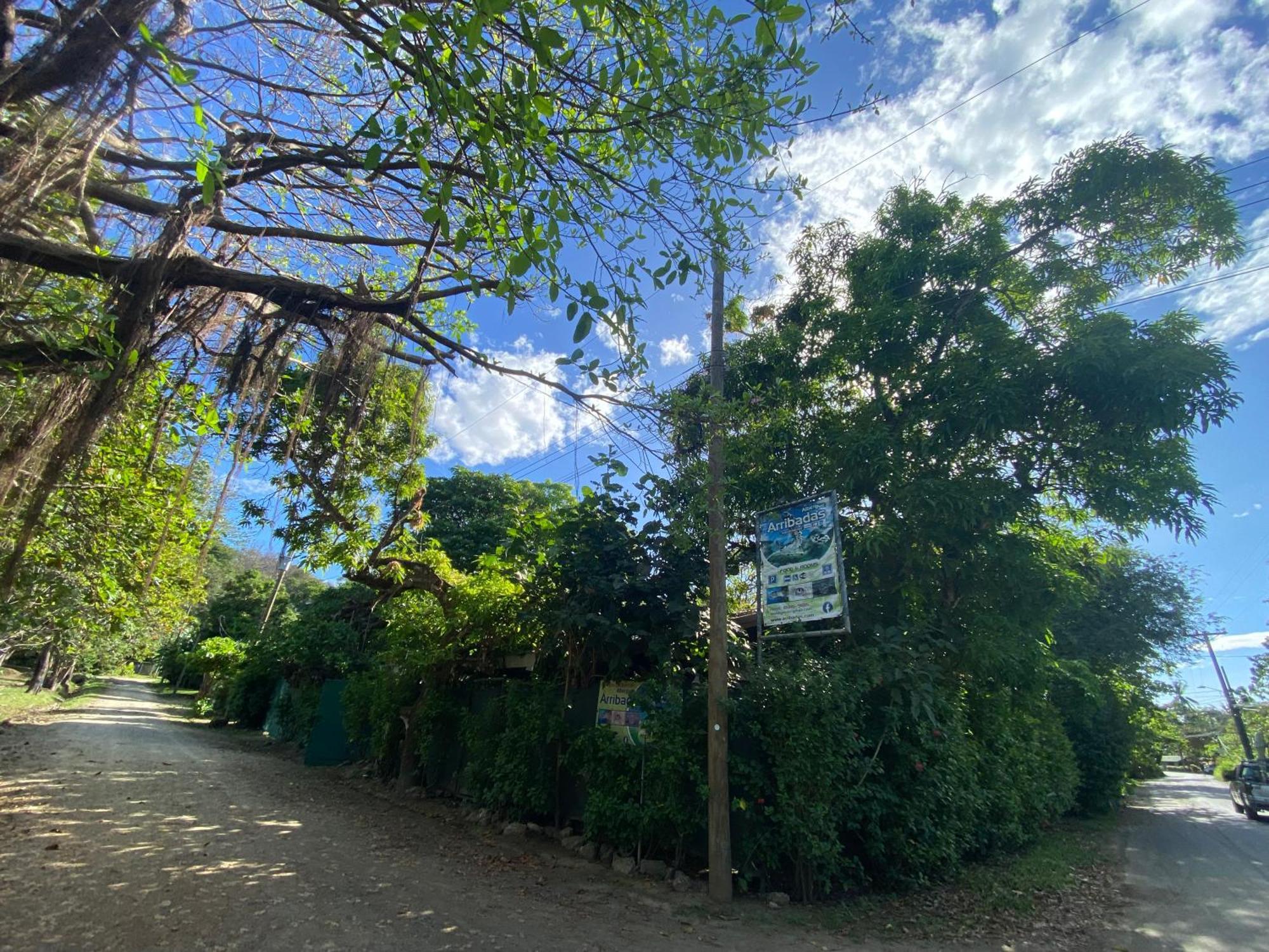 Cabinas Surf Arribadas Ostional Wildlife Refuge Εξωτερικό φωτογραφία