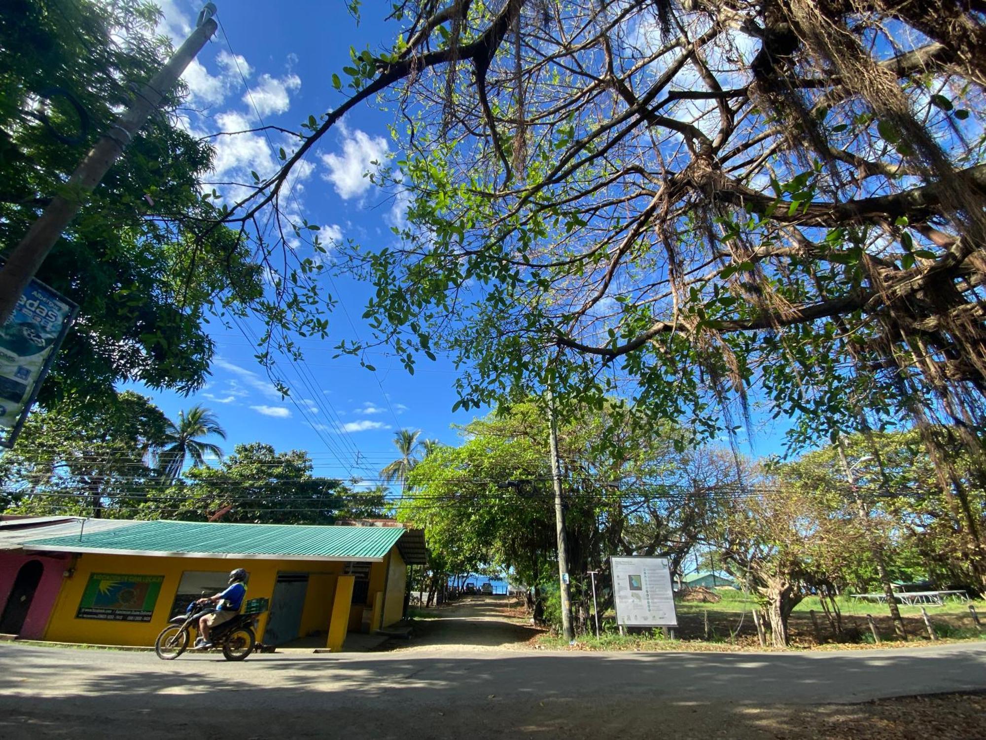 Cabinas Surf Arribadas Ostional Wildlife Refuge Εξωτερικό φωτογραφία