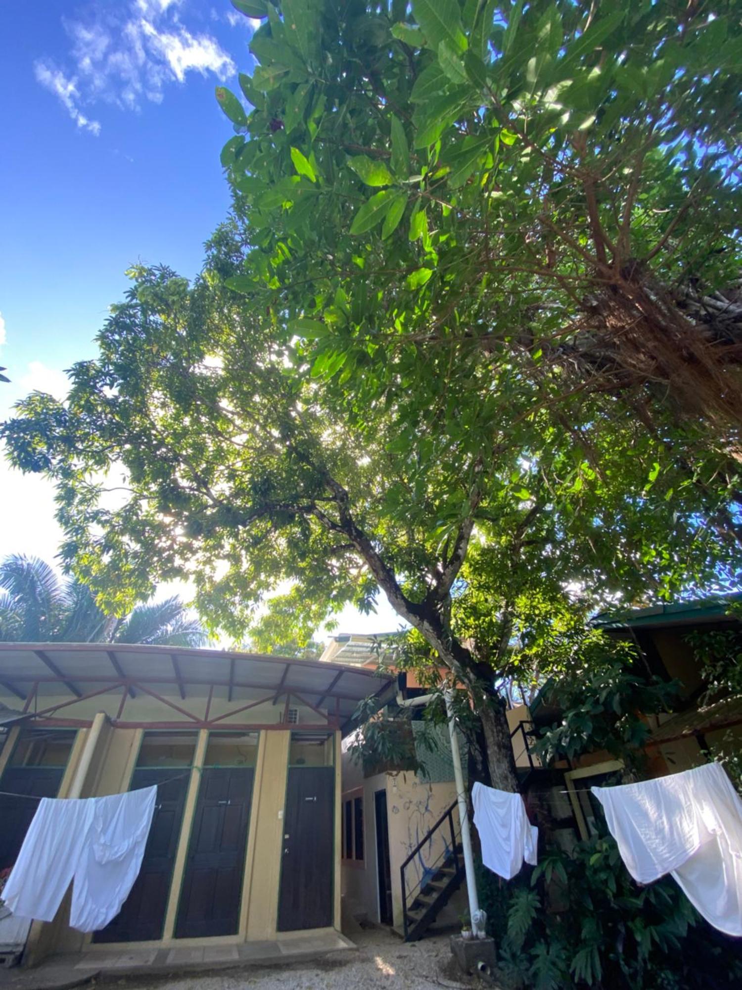 Cabinas Surf Arribadas Ostional Wildlife Refuge Εξωτερικό φωτογραφία